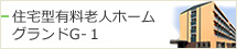 住宅型有料老人ホーム グランドG-1