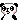panda_hurry