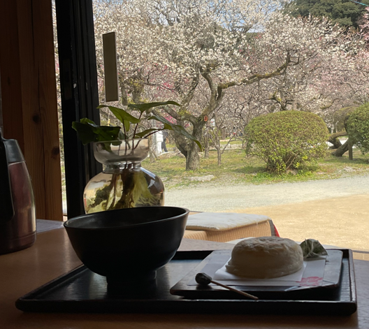 スクリーンショット 2026-02-23 170246