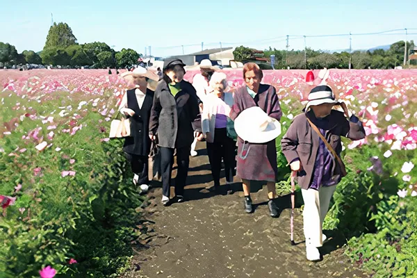 nagomi-service_img17