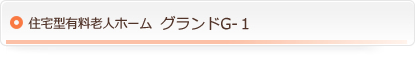 住宅型有料老人ホーム　グランドG1