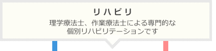 リハビリ：理学療法士、作業療法士による専門的な個別リハビリテーションです