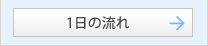 一日の流れ