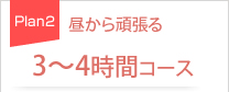 昼から頑張る3～4時間コース